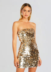 Nolia Sequin Embellished Dress