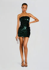 Nolia Sequin Embellished Dress
