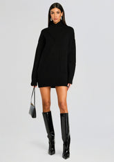 Dessa Chunky Knit Sweater Dress