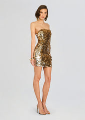Nolia Sequin Embellished Dress