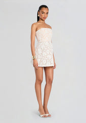 Sophia Lace Mini Dress