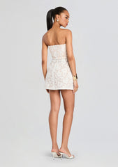 Sophia Lace Mini Dress