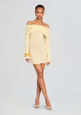 Xen Knit Mini Dress
