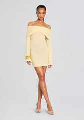 Xen Knit Mini Dress