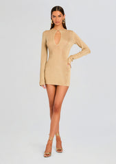 Emeri Metallic Knit Mini Dress