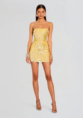 Nolia Sequin Embellished Dress
