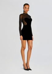 Delmer Velvet Dress