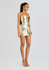 Sylvie Leather Dress